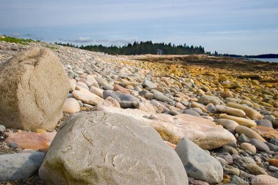 Natural Seawall