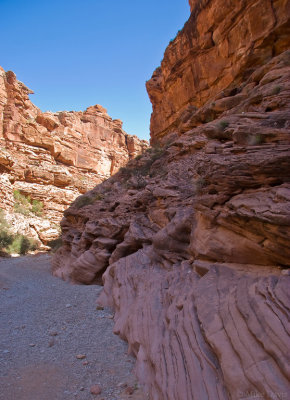 Havasu Canyon Trail