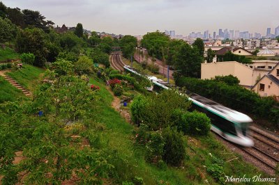 Paris-LaDfense in the far and the railroad in the gardens -02