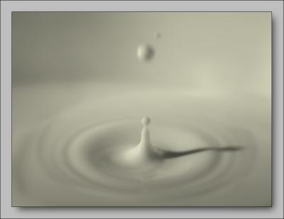 Drops of  milk