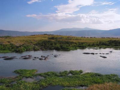 Ngorongoro 09- Tanzania
