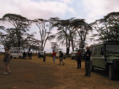 Ngorongoro 26- Tanzania