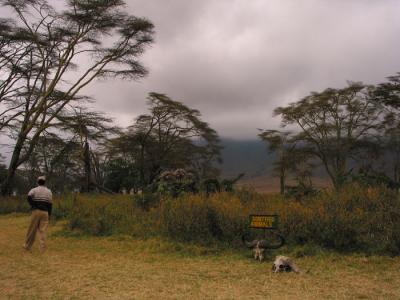 Ngorongoro 27- Tanzania