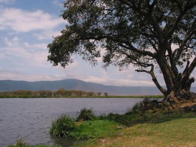 Ngorongoro 29- Tanzania