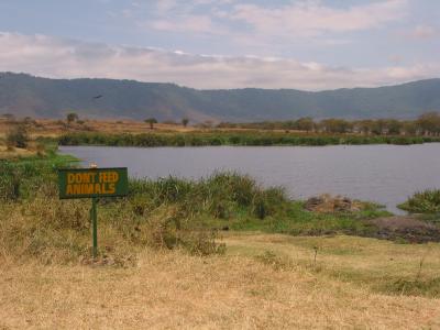 Ngorongoro 30- Tanzania