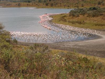 Arusha National Park 01- Tanzania