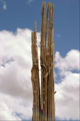 CRW_4066.jpg