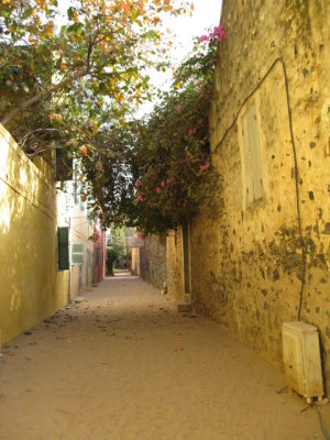 041 Goree Island surprisingly sandy.jpg
