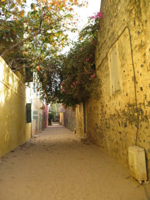 041 Goree Island surprisingly sandy.jpg