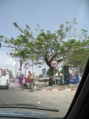 194 Pedestrians and dust.jpg