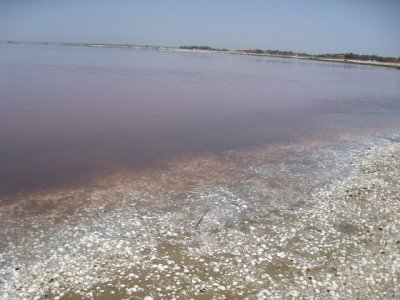 521 Pink Lake.jpg