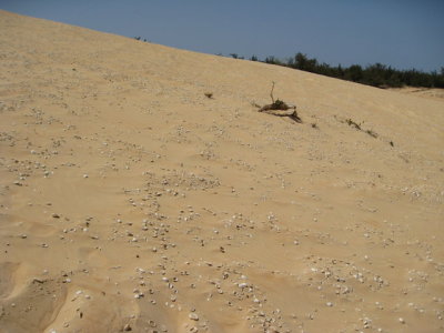 546 Steep sand dune.jpg