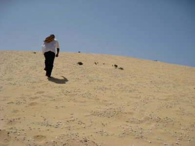 547 Abese has lots of stamina for climbing sand dunes!.jpg