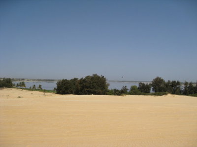 548 View from atop a dune.jpg