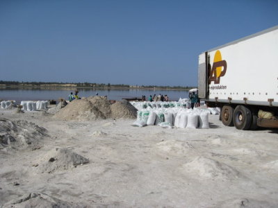 568 Salt being loaded into truck at Pink Lake.jpg