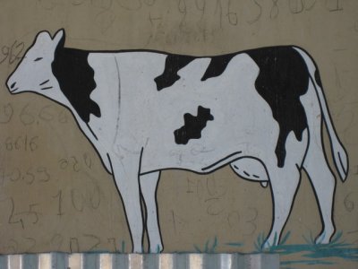 583 Smiling cow sign at dairy farm.jpg