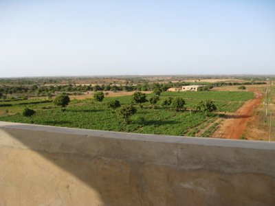 600 Abundant irrigated land.jpg