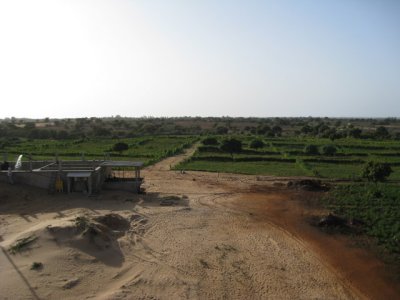 601 The privately owned irrigation system and resulting crops.jpg