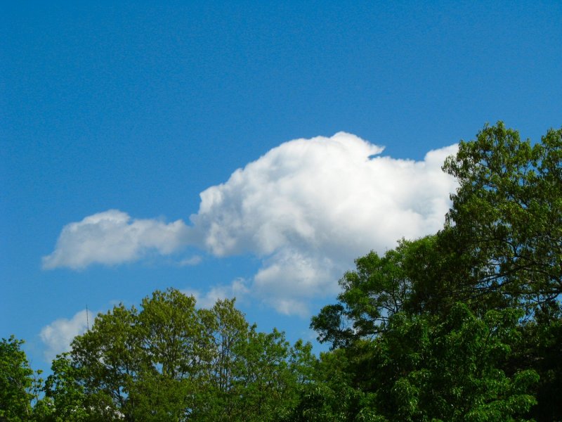 What Do You See.jpg