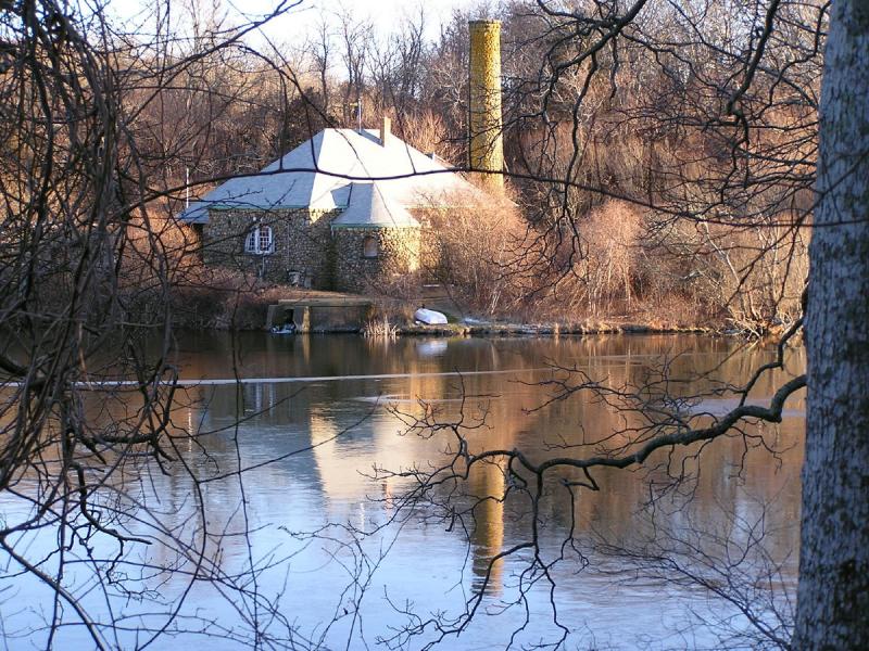 Oak Bluffs WaterWorks through the trees.jpg