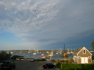 MayHarbor.jpg