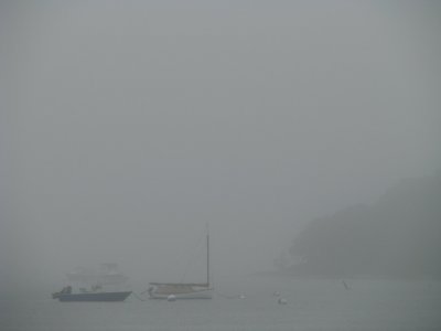 Morning Fog.jpg