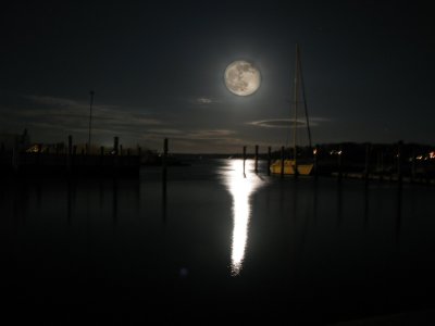 Howlin at the Moon.jpg