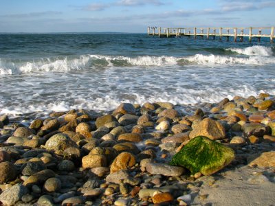 Just One Green Rock.jpg