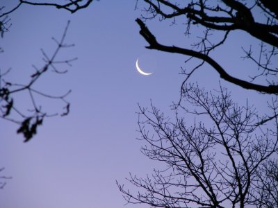 Moon SLiver.jpg