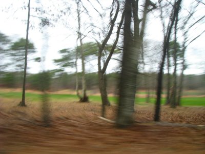 Blur Swirl.jpg