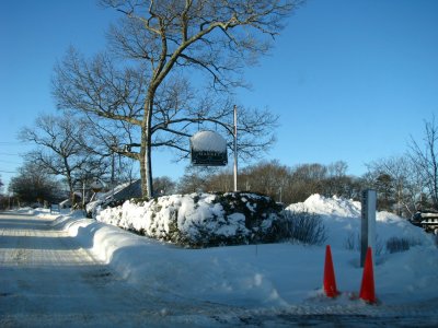 Snow Market.jpg