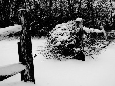 Snow Fence.jpg