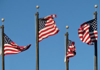 Waving in the Wind