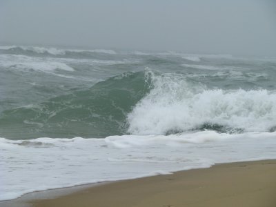 onde Fr.jpg
