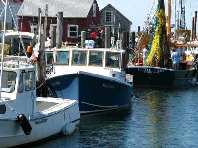 Solitude in Menemsha.jpg