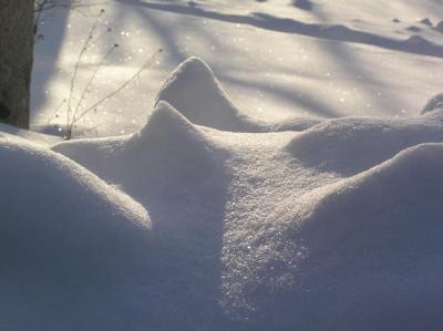 Snow sculpture.jpg