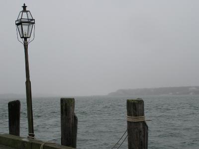 Grainy day---Gray  Rainy.jpg