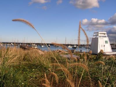 g3/29/553829/3/54656157.VineyardHavenemptyharbors.jpg