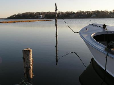 morning reflections.jpg