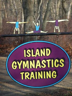 Island Gymnastics .jpg