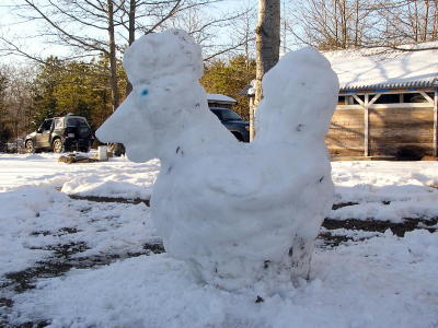 Snow Chicken.jpg