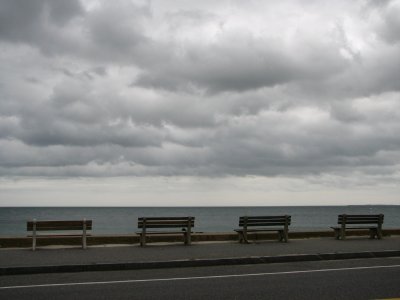 Bench with a View.jpg