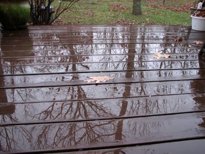 Reflections 3.jpg