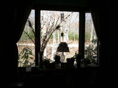 Window View.jpg