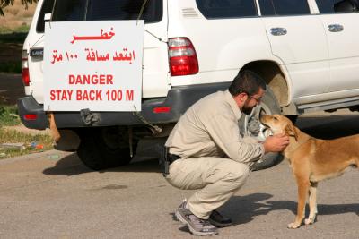 g3/29/553929/3/57475349.dangerdog.jpg