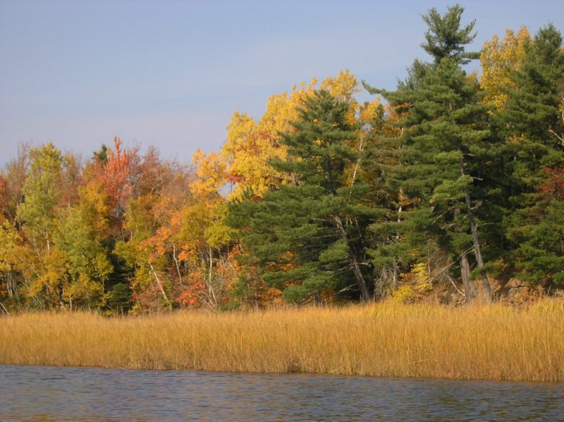 Fall Colours on the Shediac River