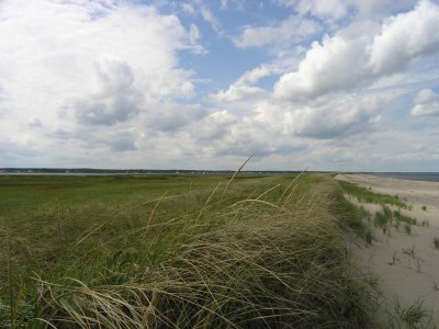 P8170016.JPG