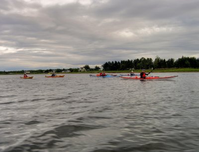 P8200009_08.jpg