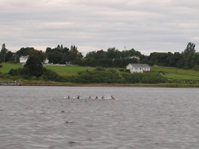 P8200018.JPG
