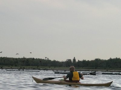 P9060011.jpg